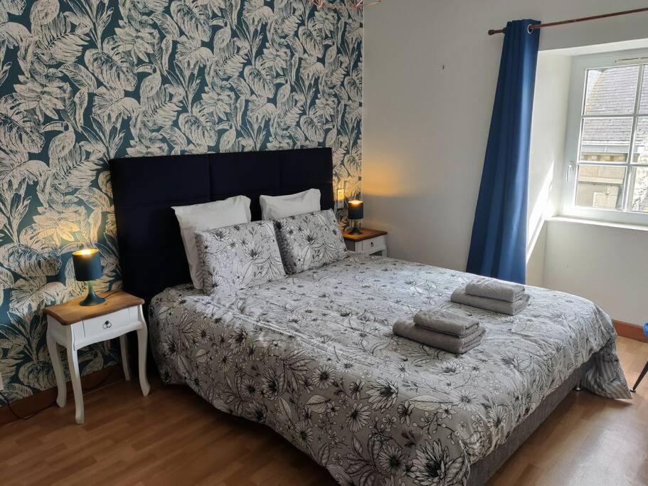 Le Tropica Appartement 2 Chambres, Plein Sud Centre Ville De Vitre Zewnętrze zdjęcie