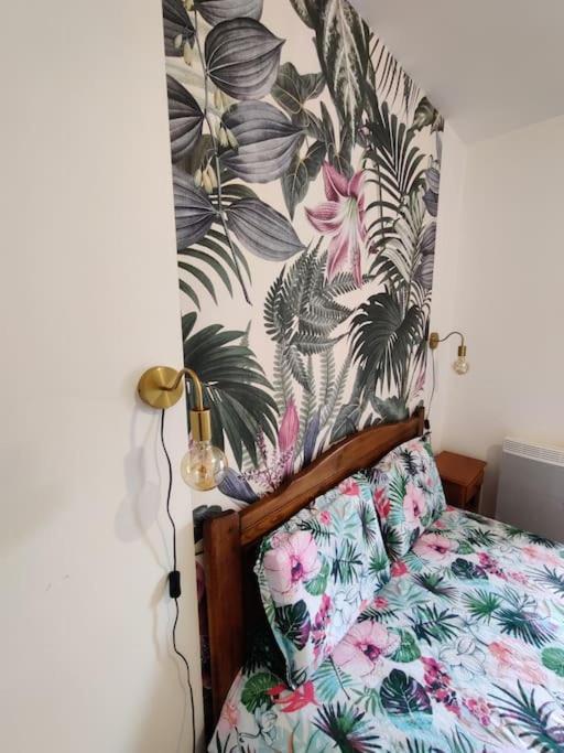Le Tropica Appartement 2 Chambres, Plein Sud Centre Ville De Vitre Zewnętrze zdjęcie